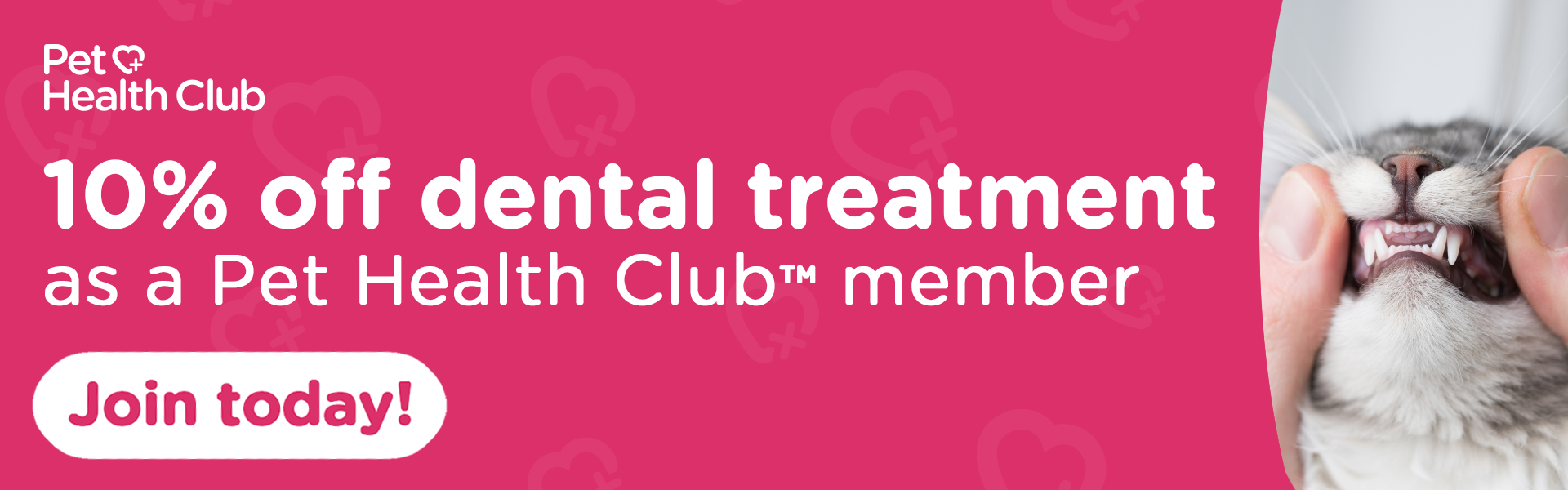 Banner explaining that Pet Health Club members receive 10%25 off all dental treatment.